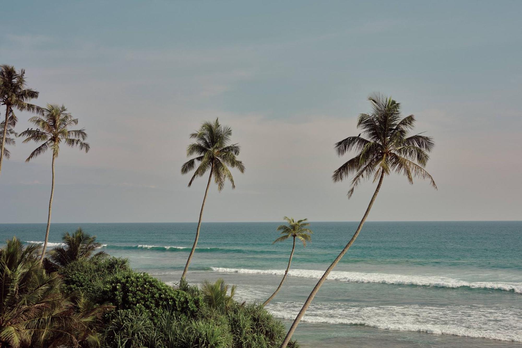 Gitano Surf Ahangama Beachfront Экстерьер фото